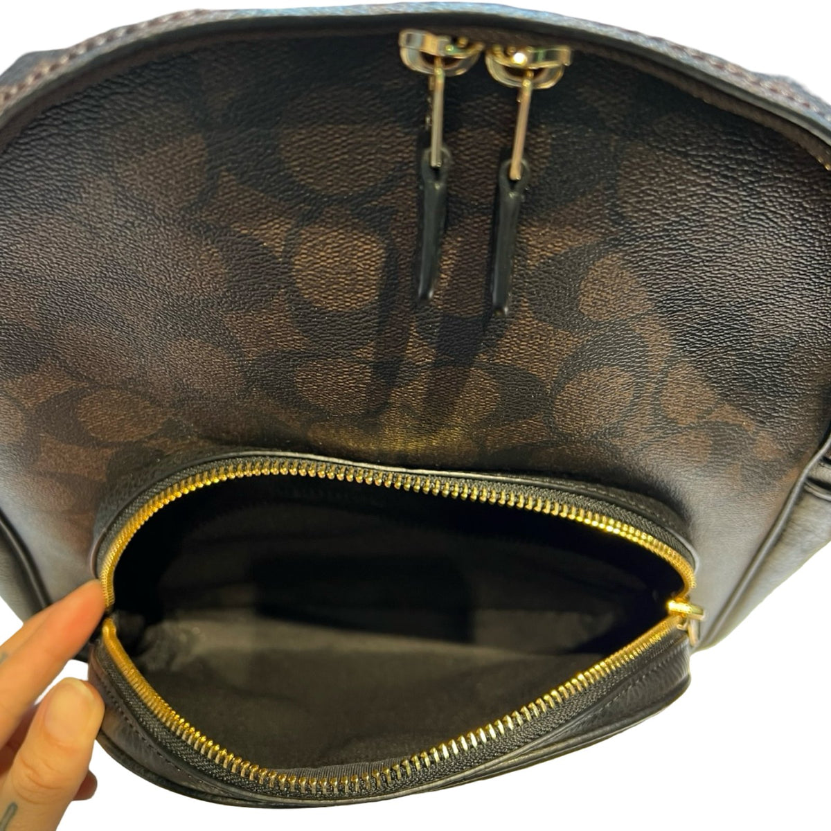 COACH Signature Canvas, Leather Backpack Backpack Brown, Black Gold Hardware Co74