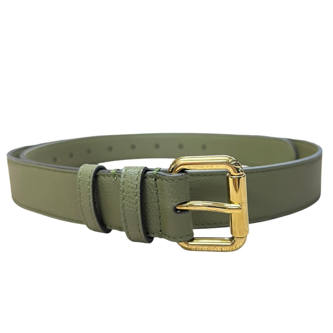 FENDI Grained Leather Continental Wallet On Chain Wallet on Chain / Belt Bag Green Gold Hardware FE381