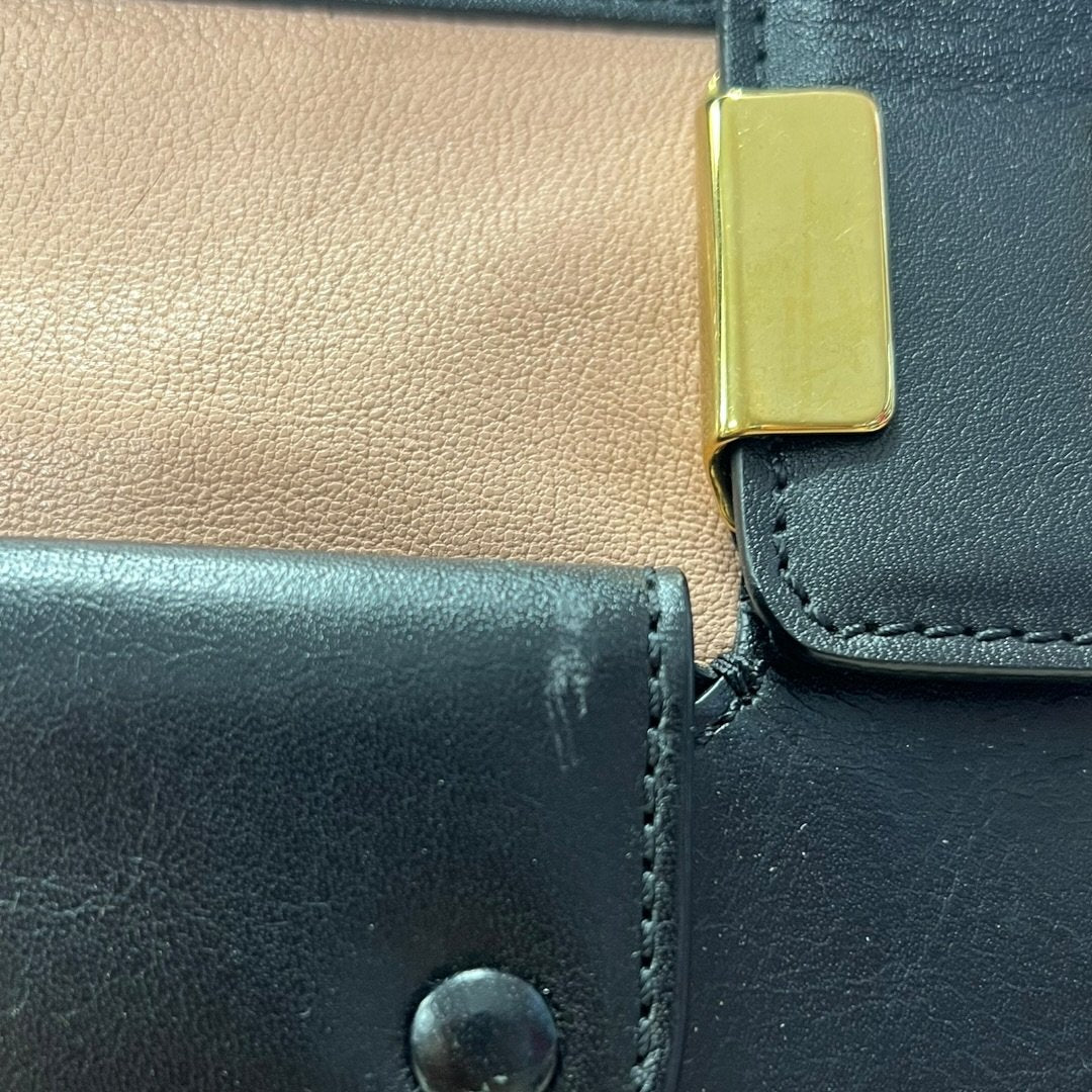 CHLOÉ Calfskin Baylee Handbag Black and Blush Pink Gold Hardware Ch2211