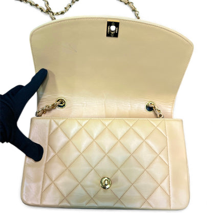 CHANEL Matelasse Diana Chain Shoulder Bag CH2038