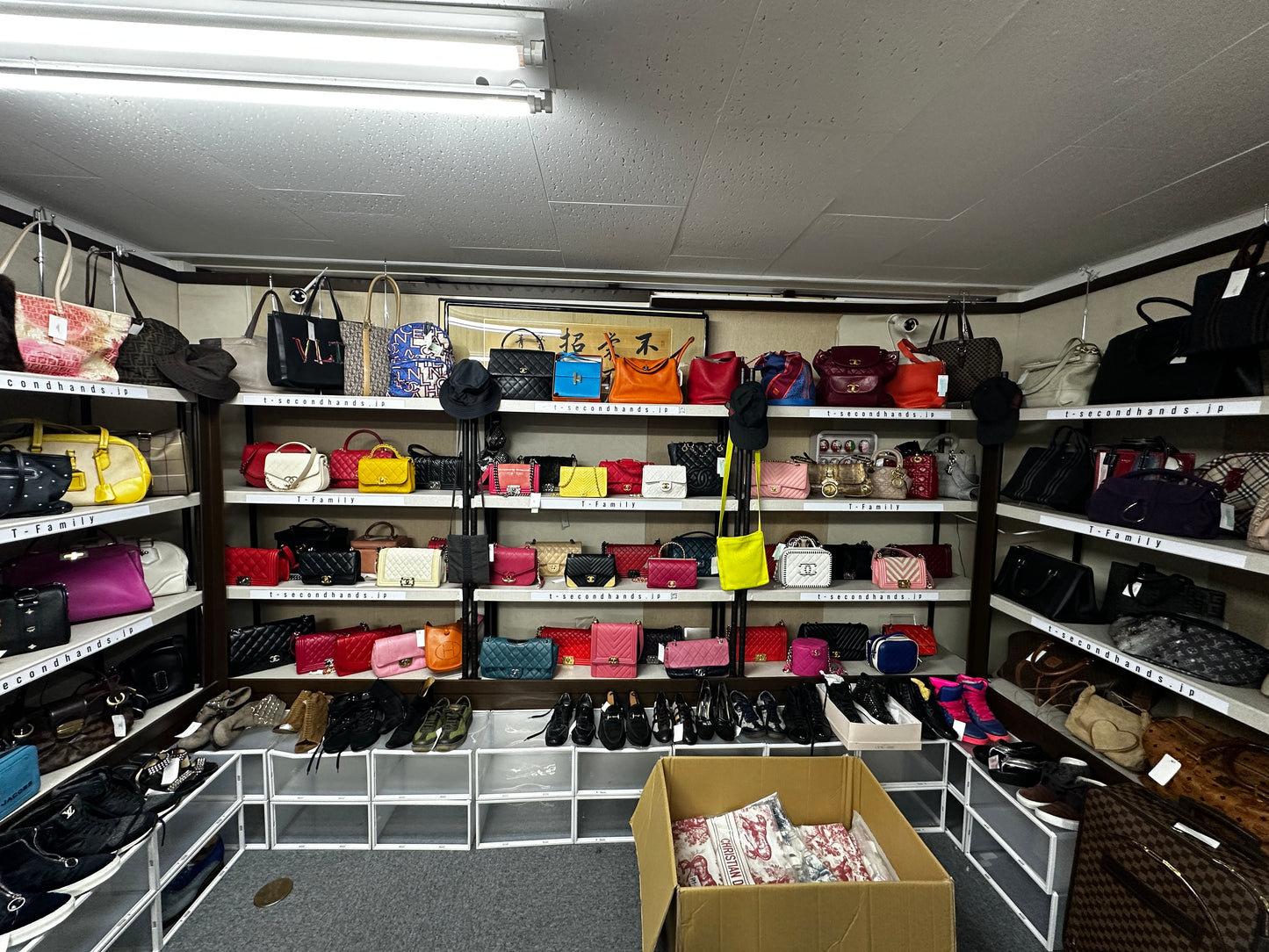 SUPER SALE LIVE ITEM